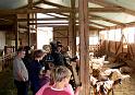 b - A la ferme (9)